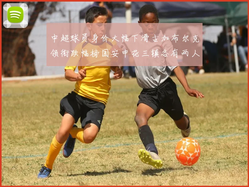 中超球员身价大幅下滑古加布尔克领衔跌幅榜国安申花三镇各有两人上榜