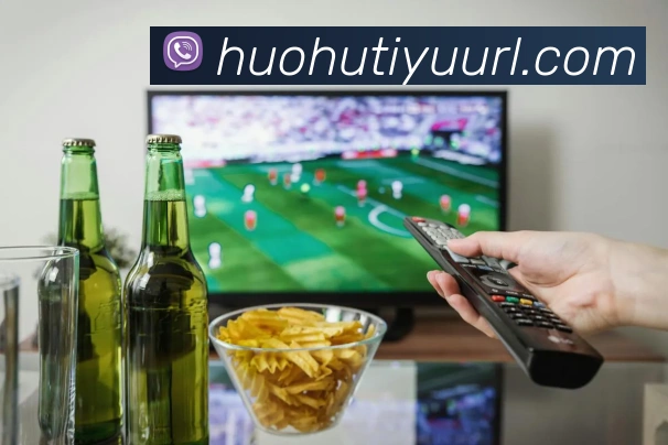 App Interface Preview